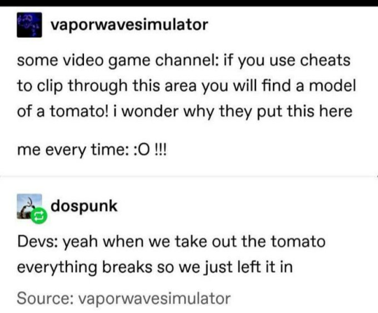 No wonder why we can find weird things in video games.