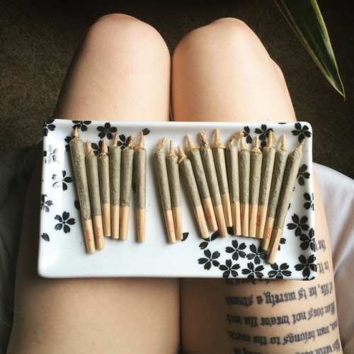 sagex420:Joints for days