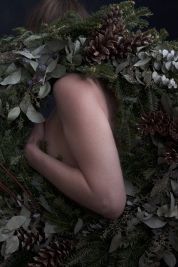 winter wreath | self-portraits•✧{ more