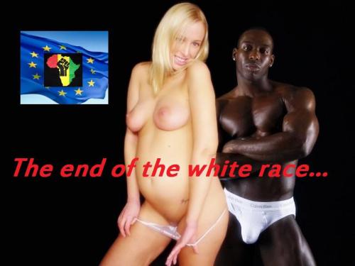 christianlafond:germanblondie79:… will never come.Blacks know exactly which girls are best to fuck!  I fear you are correct.  The only course of action we’re left with is to abuse, torture, rape, breed, rob, beat, piss on, shit on, starve, whip,