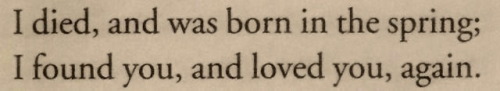 lofeel:anne of green gables (1985) // demian by hermann hesse (1919) // irish pond by jim mcglone (2