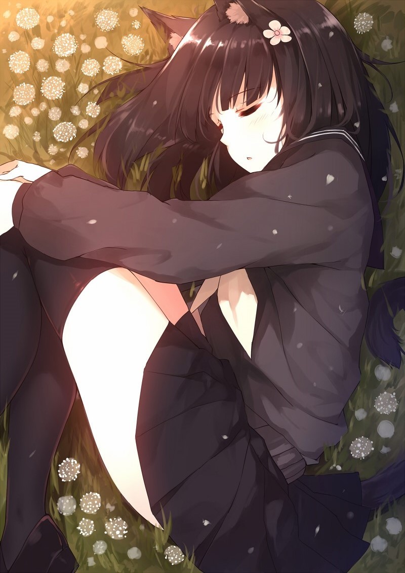 cute-girls-from-vns-anime-manga:    眠いにゃー by  KD   