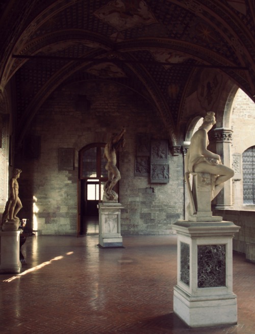 cats-of-cairo:Other stories: Museo Nazionale del Bargello, Florence, Italy. 