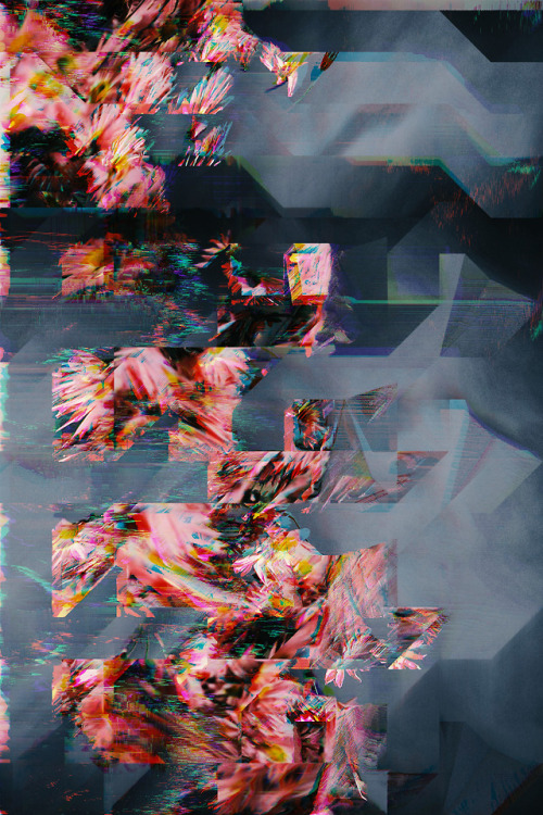 glitchphotography: Dead Flowers Don’t Mean Shit   (01, 02)  [2015]