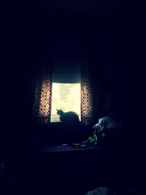 talarias:  untitled on Flickr. 