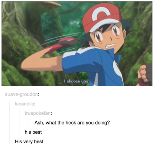 i-have-no-gender-only-rage: Tumblr and Pokemon part 4!Part 1 2 3 5