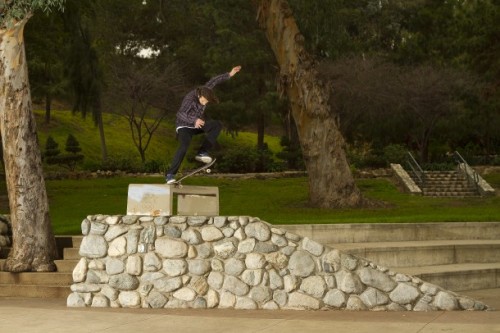 Sex fuckyeahiloveskateboarding:  Stephan Janoski ~Switch pictures