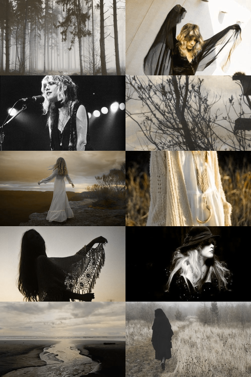 ride-on-bon: skcgsra:  stevie nicks aesthetic (more here)  @the-real-stevie-nicks