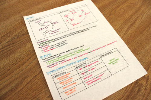 sarahsaysmd: In med school, taking notes is hard because there’s SO much material. I remember going through one of my lectures and wondering how the hell I was going to simplify it to something I could actually remember. I usually make what are called