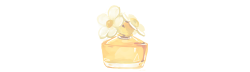 lanxin:  Daisy 