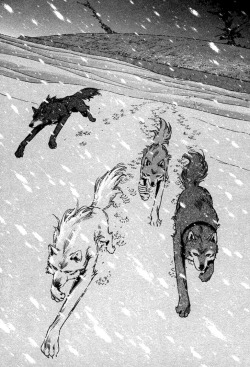 mangableed:  Wolf’s Rain by Nobumoto Keiko