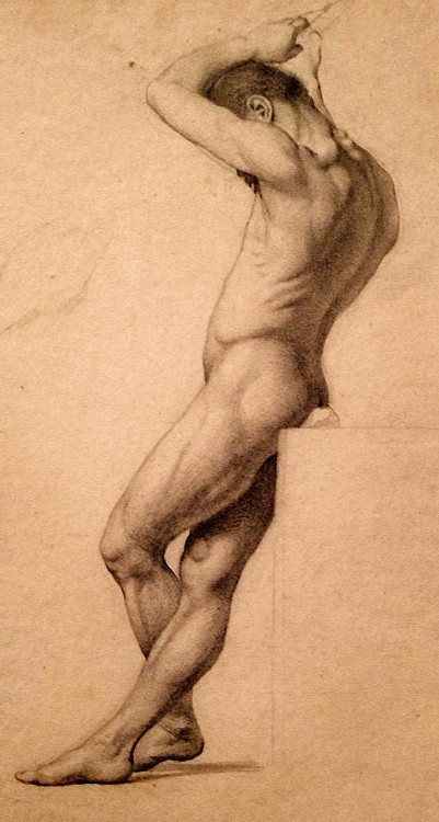Hadrian6:  Russian.  Academic Male Nude Drawing. 19Th.century.           