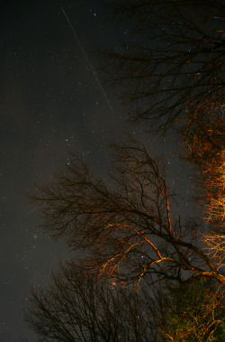 photographersdirectory:  living in northern virginia means tons of light pollution but i was able to take some nice shots of the stars nevertheless! i used a nikon d7000 with my standard 18-55mm  unfortunately my photography blog(thepolaroidprose) is