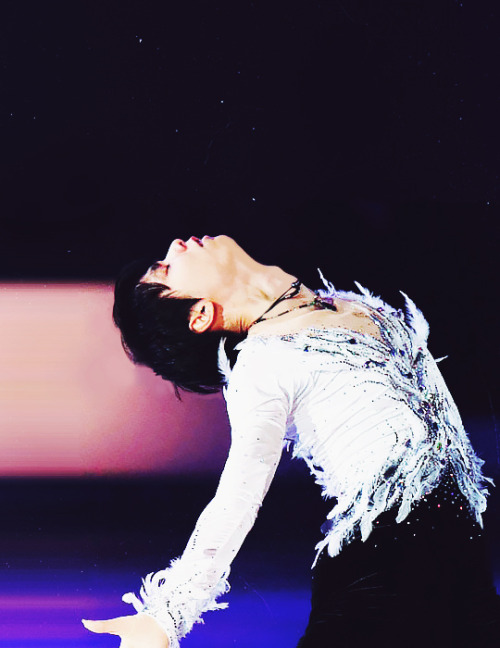 jardinaquatique:Yuzuru Hanyu - The Swan || Skate Canada 2016 