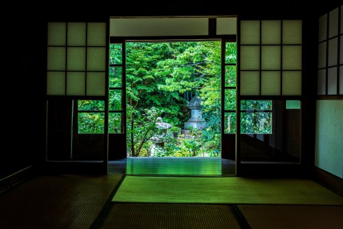 Soothing scenery at the Hosenin temple (Kyoto), by @v0_0v______mkI just love how smooth and shiny th