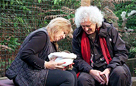 deacytits:johndeakys:dr. brian may in saving britain’s hedgehogs: episode 1This precious man must be