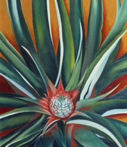 24hoursinthelifeofawoman: “Pineapple Bud,” an oil on canvas, is one of the works painted by Georgia O'Keeffe in Hawaii in 1939. 