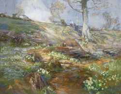 fleurdulys:  Woodland Springtime - Reginald