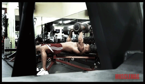 romy7:  Raciel Castro 