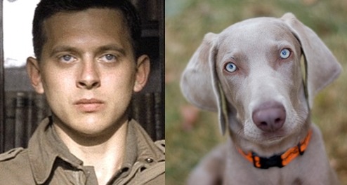 neverbelikeyoume:  Easy Company as dogs, because they are all a bunch of puppies
