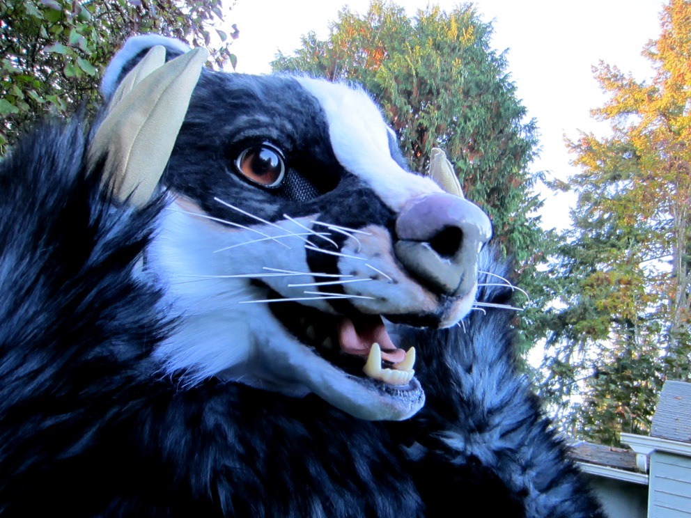 wulfos:  Badger Fursuit - Jacq 