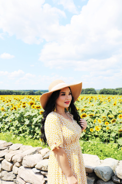  Golden Sunflower Fields ➵ on LienJae.Com. 