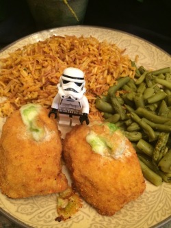 diary-of-a-stormtrooper:  Dinner….   …and