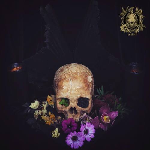 occvlta: Still Life, blooming from the skull. Spring has come, Death is flourishing anew.occvlta.tum