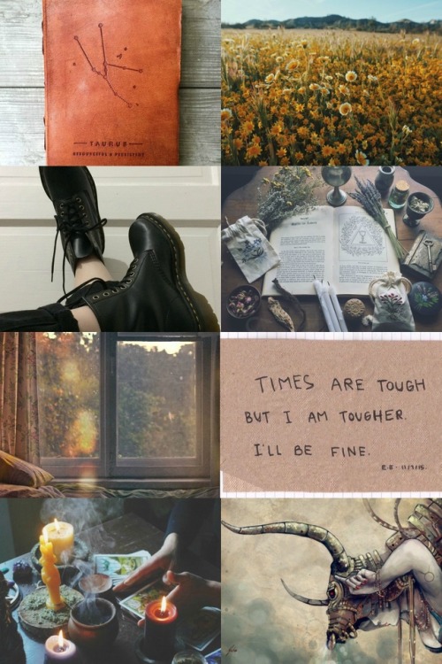 Another Aesthetic I did for @ dancegirl222 The Theme was a Taurus hufflepuff vibe