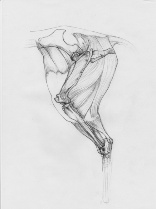 equagga: My resolution-ish thing at present is to draw for an hour a week. I know that doesn’t