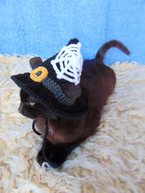 figdays:    Witch Hat for Cat //   PurrsAndStitches
