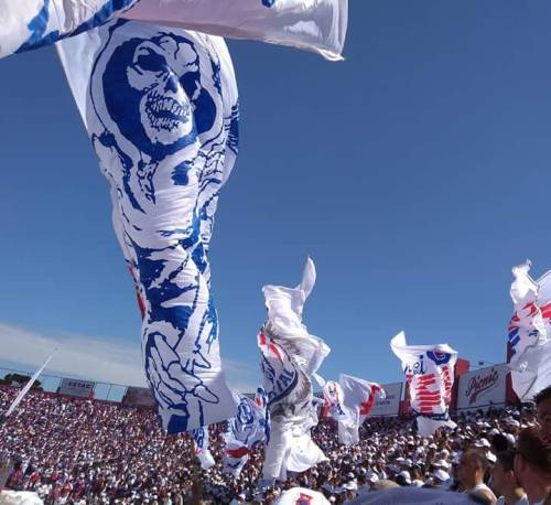 Torcida Fúria Independente - Paraná Clube - Brasil