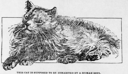 St. Louis Post-Dispatch, Missouri, May 2, 1897