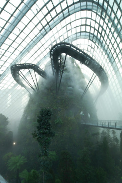 mysticplaces:  Cloud Forest | Gardens by the Bay, Singaporesubmission by hylianjean, photography by Craig Sheppard