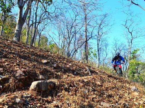 24prateek24:  The Trails of Polo forest look mint and the Impossible Race is just around the corner!