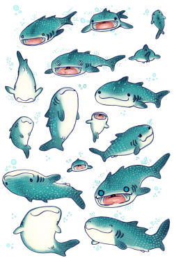 Eshkanscab:  These Are My Whale Sharks That I’m Selling On Things On My Redbubble