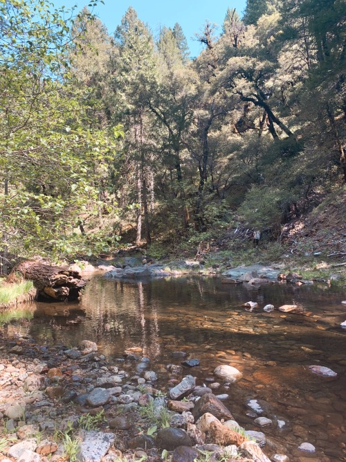 Late mornings at the edge of the Eldorado National Forest are perfect for a relaxing hike among the 