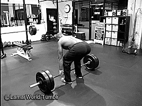 lamarworld:(PART 1 of 2) GIFS of celeb trainer David Moore’s ass.