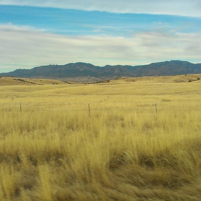 Beautiful #newmexico #nature #scenery #roadtrip