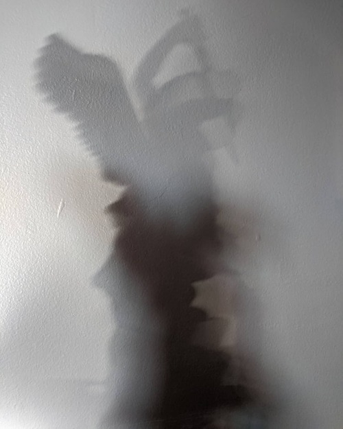 Winged Shade. . . . #winged #shade #shadows #angel #eldritch #tree #eldritchtree #eldritchtreeprints