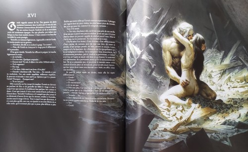yennefer-fan:Last page of the big format illustrated The Last Wish story book by french publisher Br
