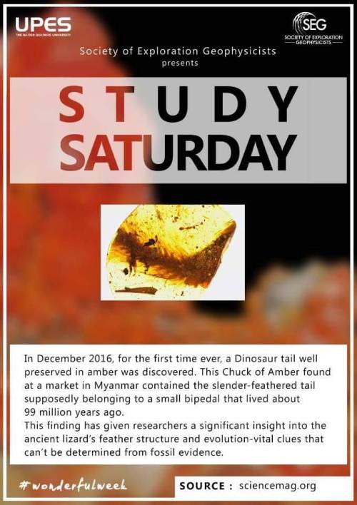 STUDY SATURDAY  #Edition2 #wonderfulweek