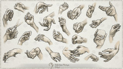 drawingden:Hand Studies by Maria Ushakova