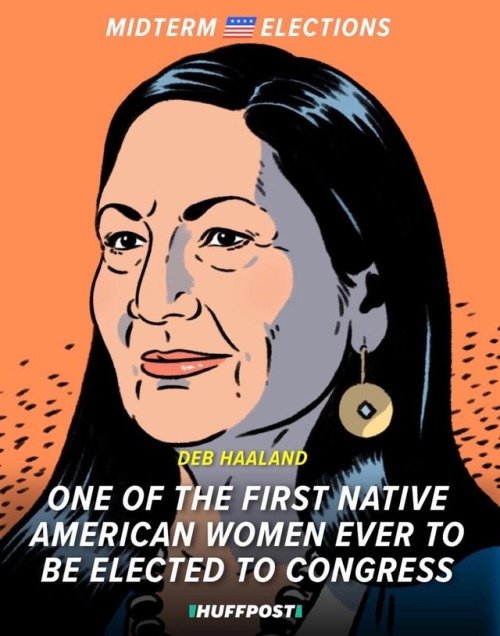 vaspider:  leanaisnotabanana: 2018 Midterm Elections: The bright side So LIKE I WAS SAYING
