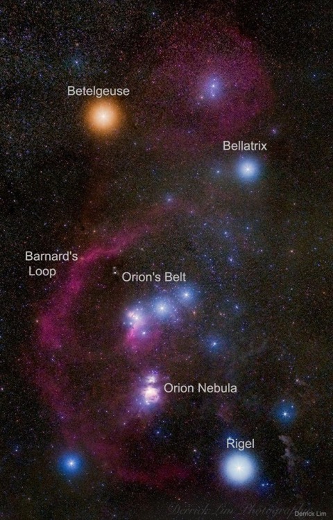 looking-at-the-universe:Orion constellation