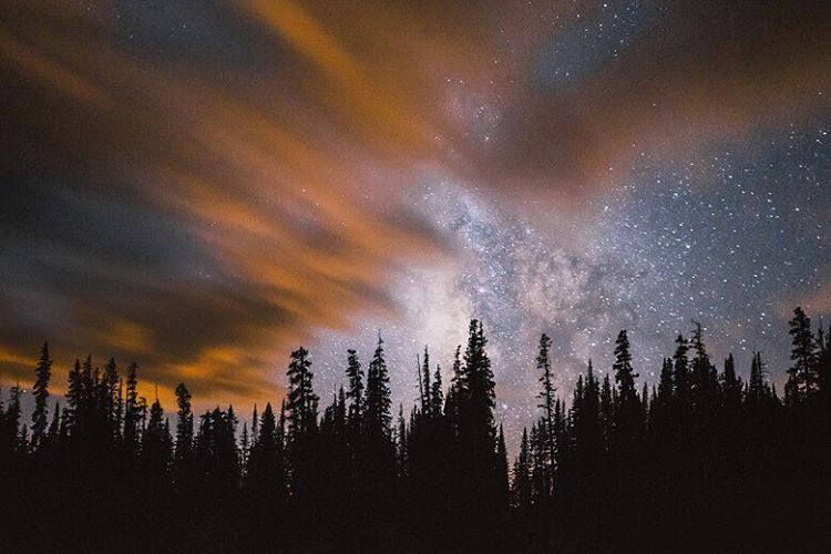 joelbear:  A different type of northern lights….