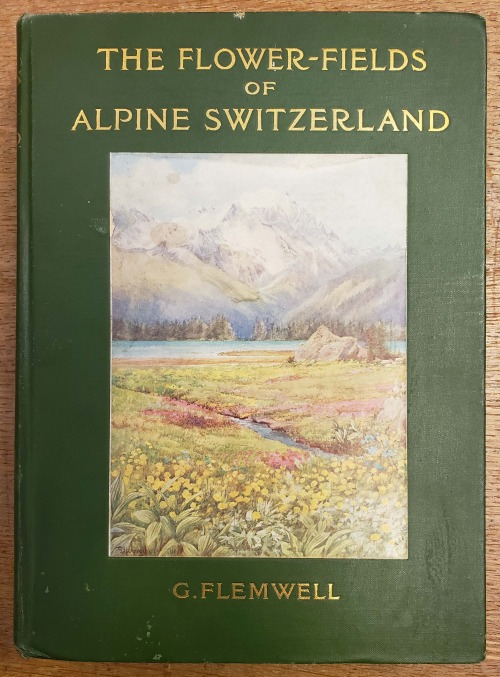 From: Flemwell, G. (George). The flower-fields of Alpine Switzerland. New York : Dodd, Mead and Comp