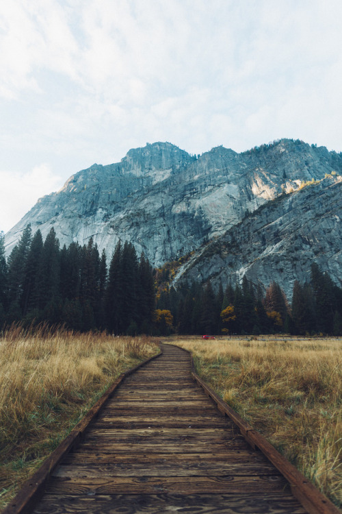 vvnnie:Am I Dreaming?Instagram / Prints