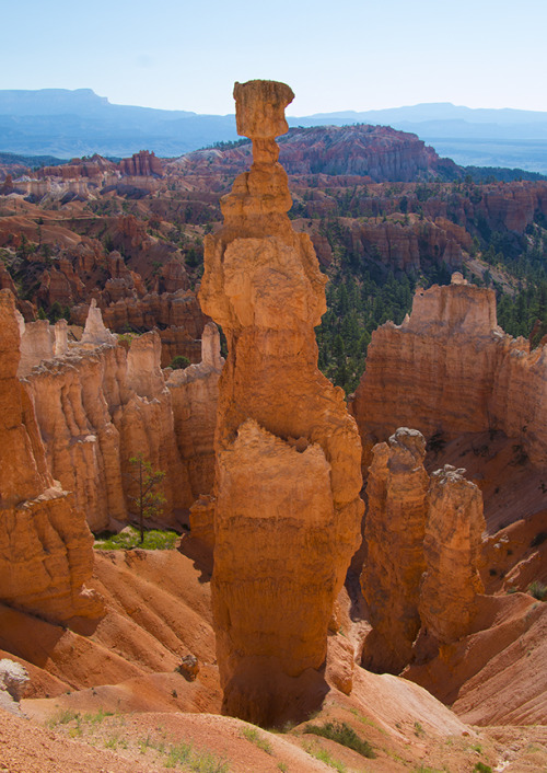 Morning at Thor’s Hammer in Bryce Canyon National Park, Utah.