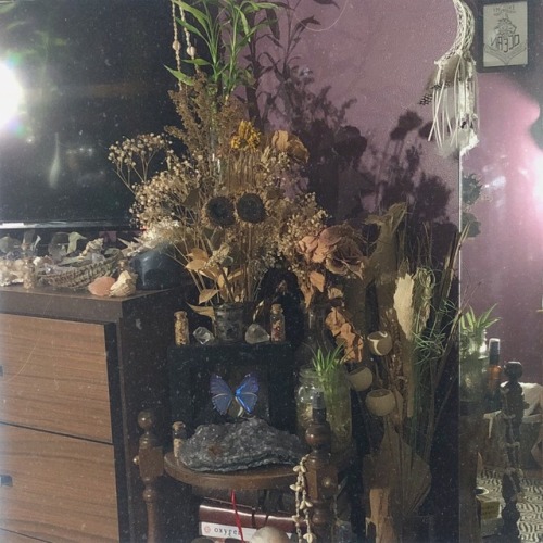 lavenderwaterwitch: snaps of my bedroom ✨ Instagram – hillaryelis